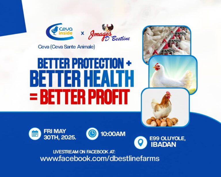 Ibadan To Host Free Poultry Farming Seminar Profit Maximization