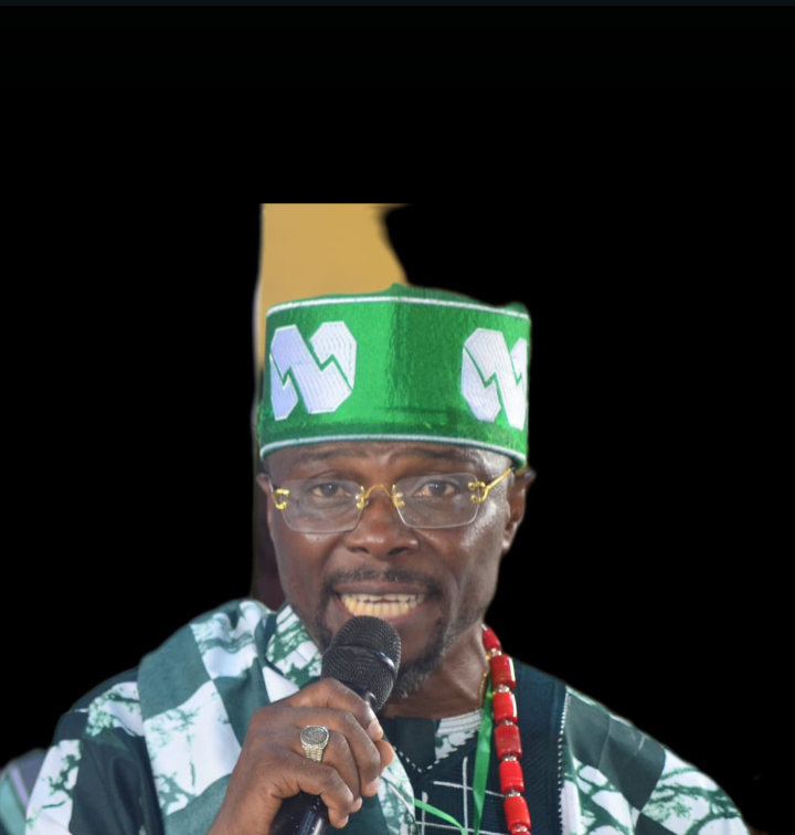Oduduwa Support Groups Organisation Calls for Peaceful, Credible APC House of Rep. Primaries